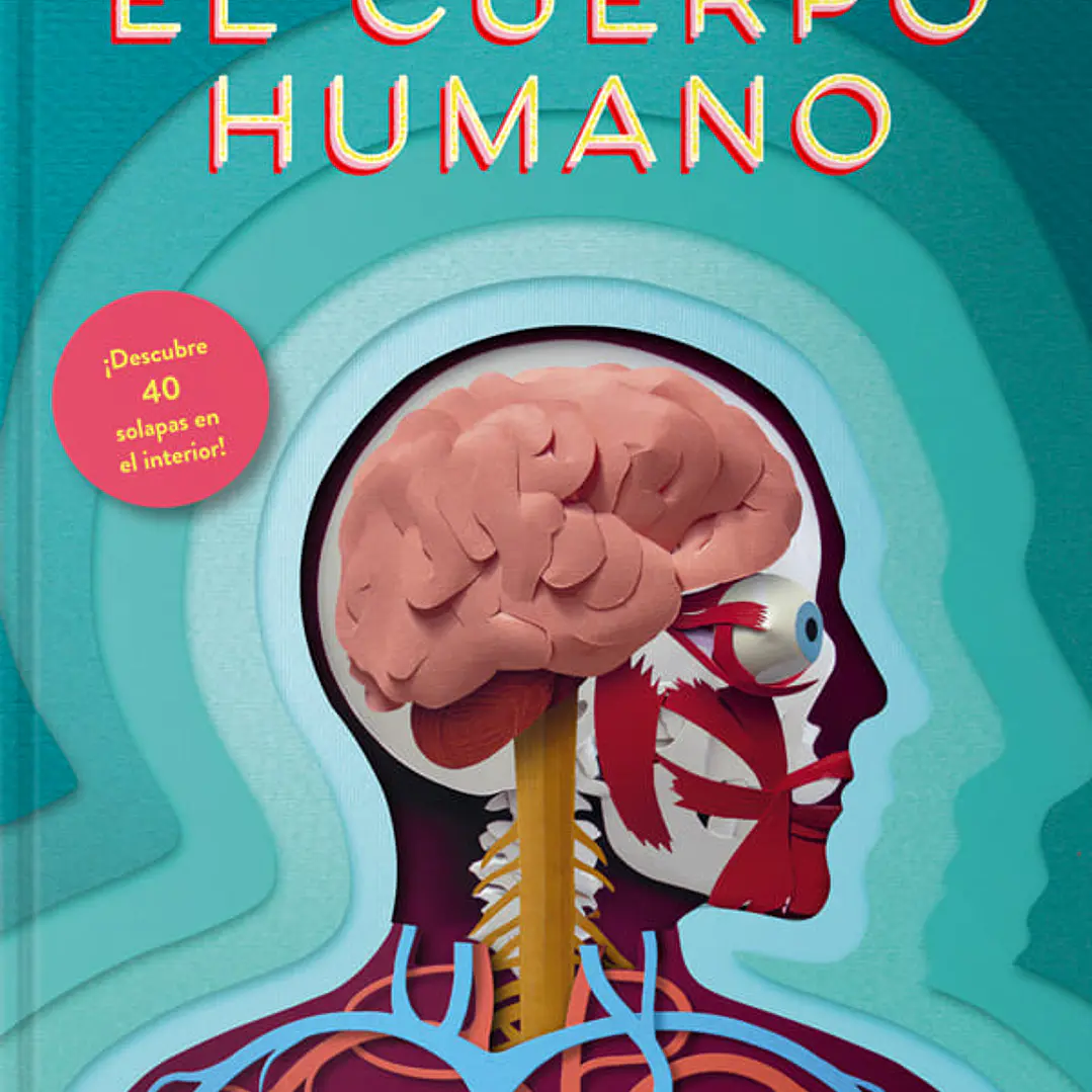 El Cuerpo Humano Un Mundo De Papel 1