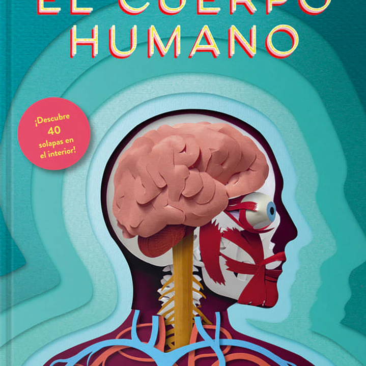 El Cuerpo Humano Un Mundo De Papel 1