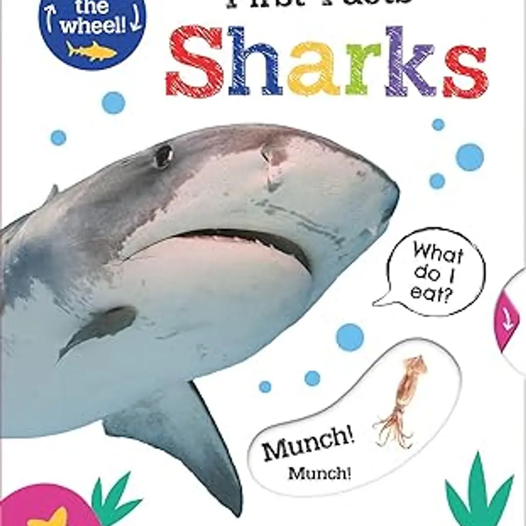 First Facts Sharks (Move Turn Learn (Turn-the-wheel Books)) 1