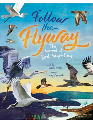 Follow The Flyway - The Marvel Of Bird Migration