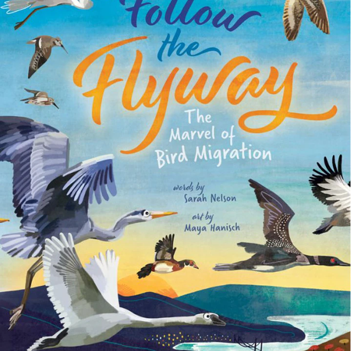 Follow The Flyway - The Marvel Of Bird Migration 1
