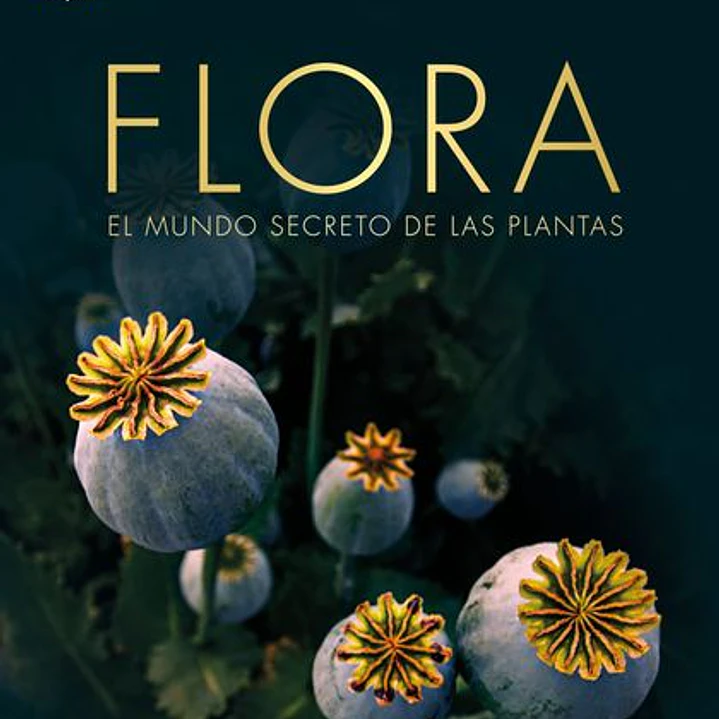 Flora Nueva Edicion 1