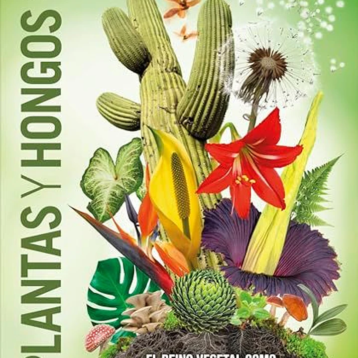 Plantas Y Hongos: El Reino Vegetal Como Nunca Antes Lo Habias Visto  1
