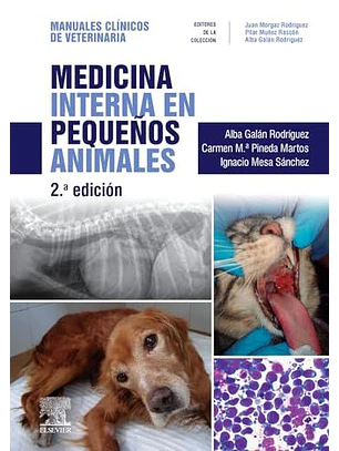 Medicina Interna En Pequeños Animales (2ª Ed. )