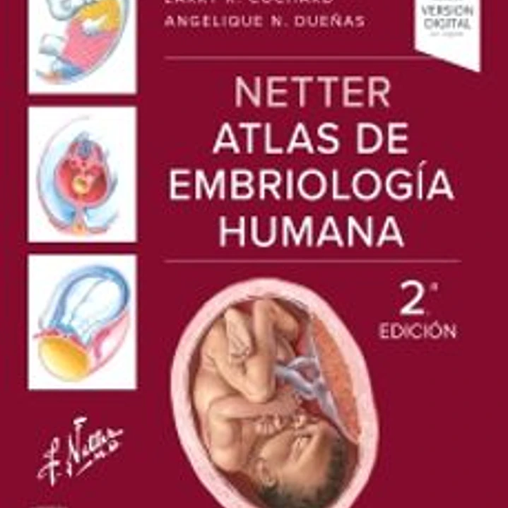Netter. Atlas De Embriologia Humana (2ª Ed.) 1