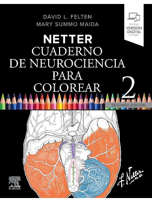 Netter. Cuaderno De Neurociencia Para Colorear