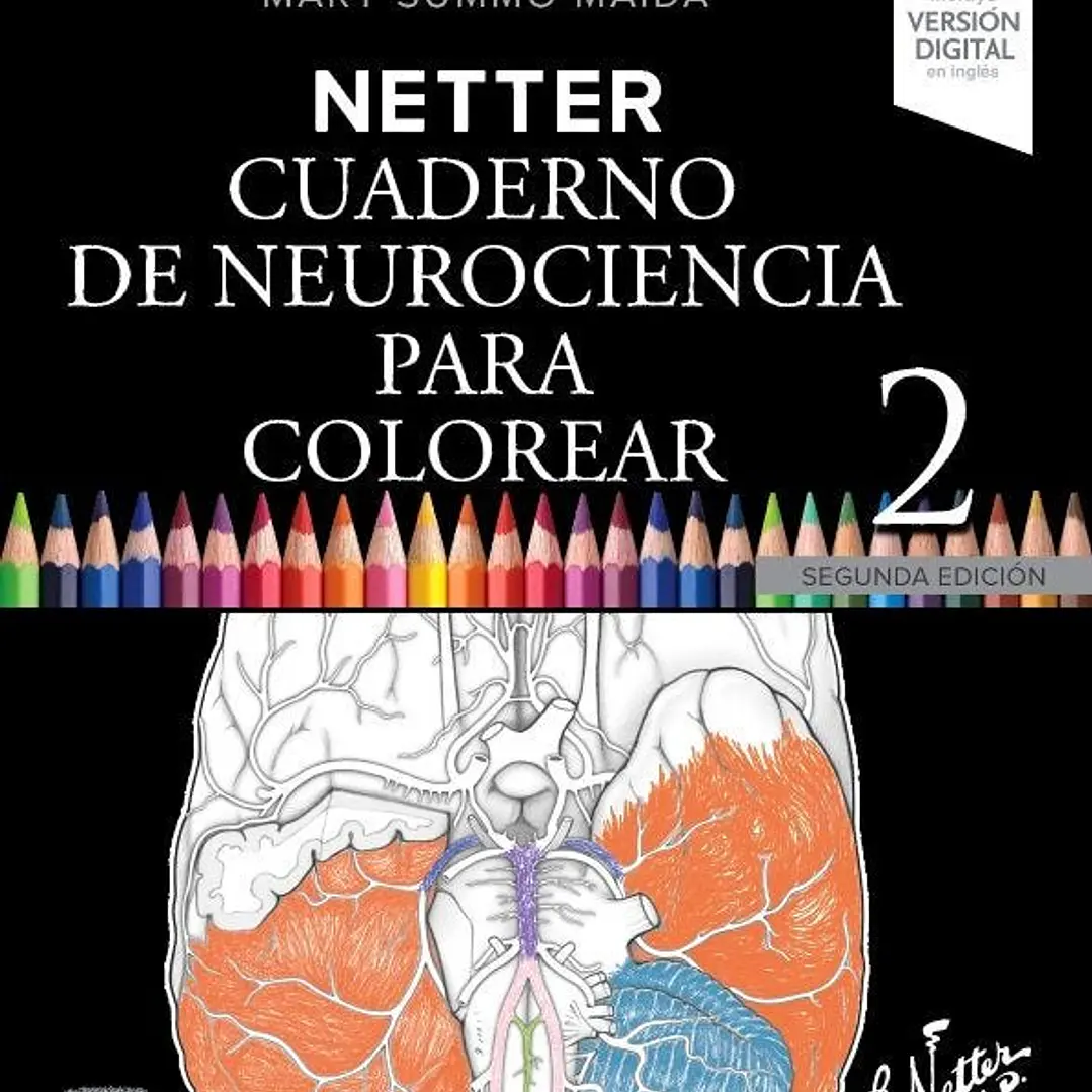 Netter. Cuaderno De Neurociencia Para Colorear 1