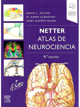 Atlas De Neurociencia (4ª Ed. ) - Netter (Felten)