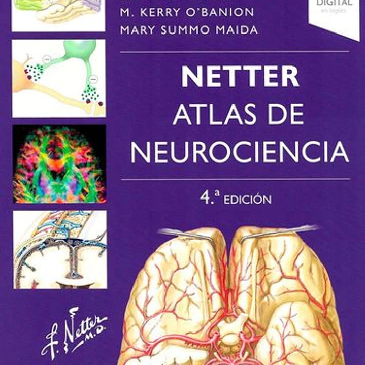 Atlas De Neurociencia (4ª Ed. ) - Netter (Felten) 1