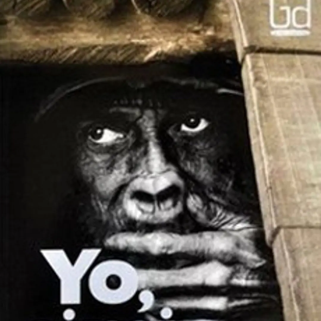 Yo Simio 1