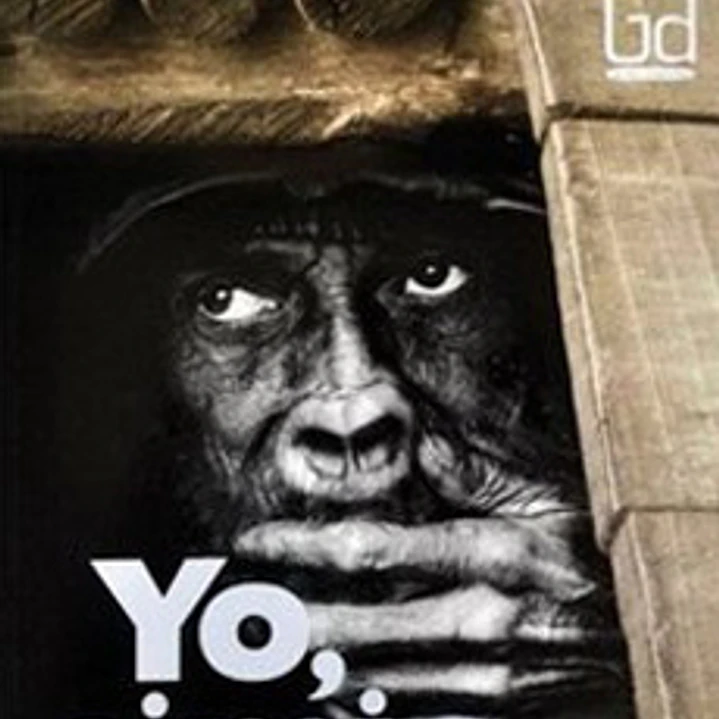 Yo Simio 1