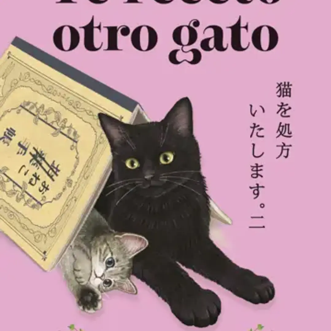 Te Receto Otro Gato 1