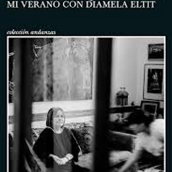 No Tengo Que Ganar Mi Verano Con Diamela Eltit 1