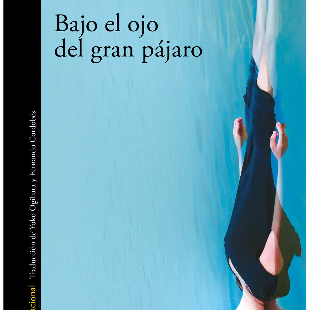 Bajo El Ojo Del Gran Pajaro  1