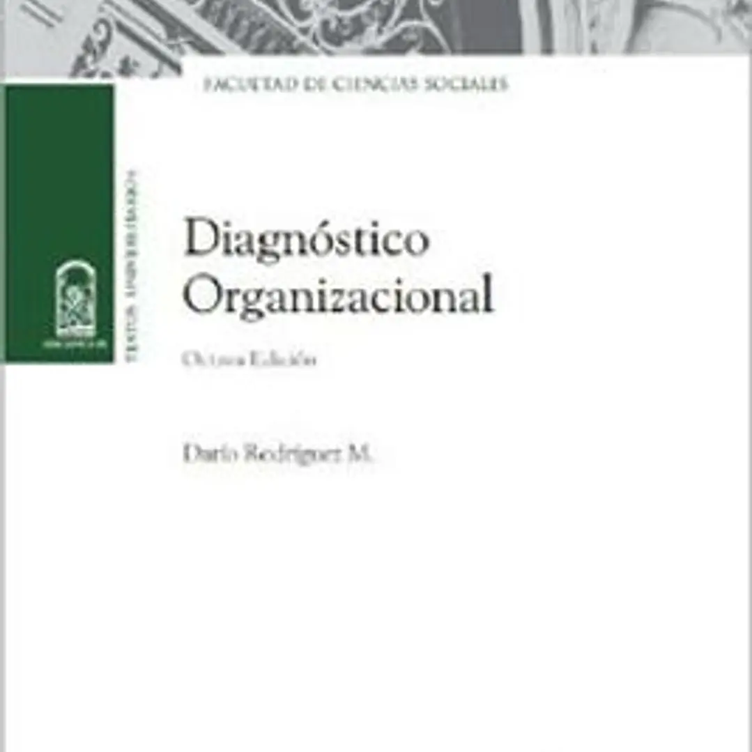 Diagnostico Organizacional 1