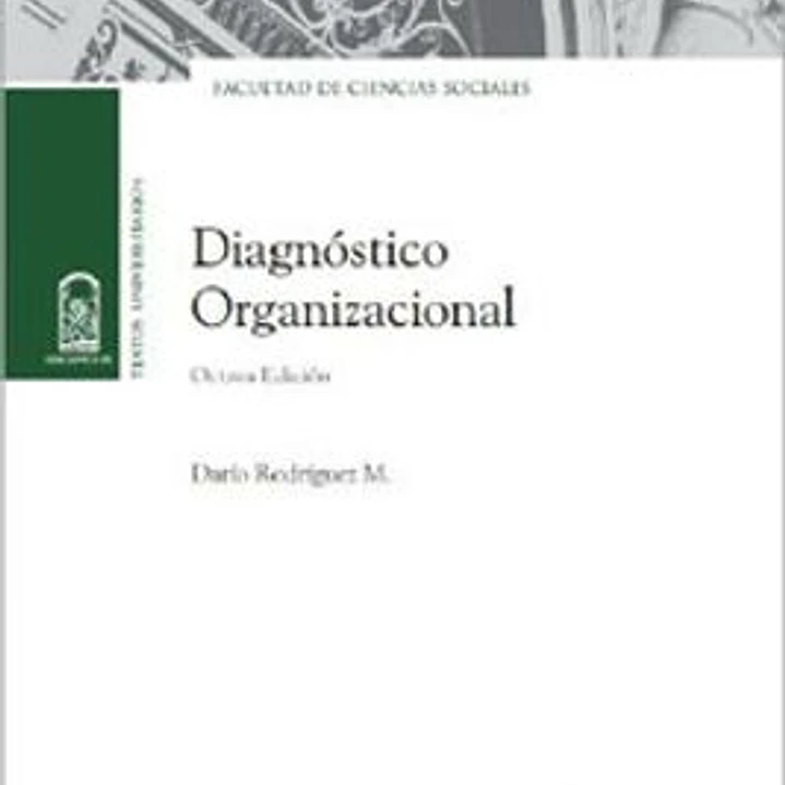 Diagnostico Organizacional 1