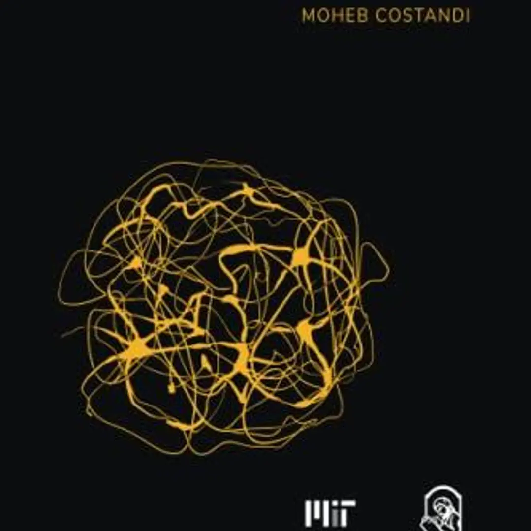 Neuroplasticidad - La Serie De Conocimientos Esenciales De Mit Press 1