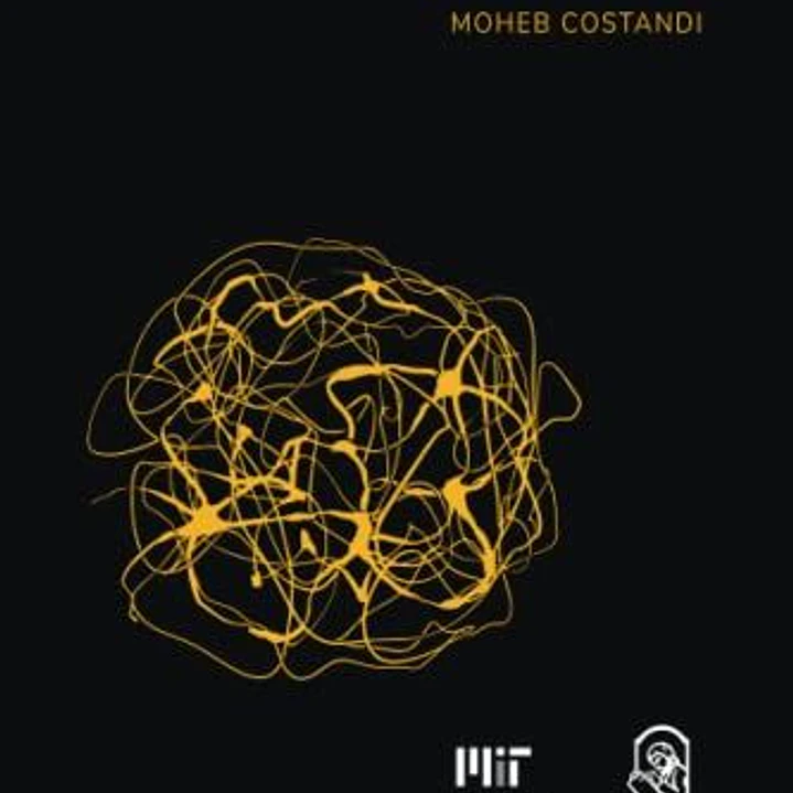Neuroplasticidad - La Serie De Conocimientos Esenciales De Mit Press 1