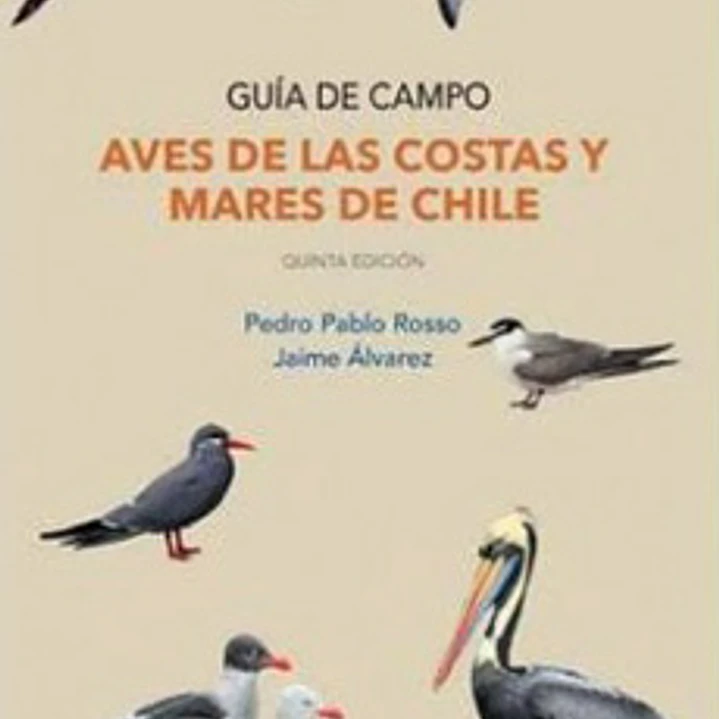 Aves De Las Costas Y Mares De Chile 1