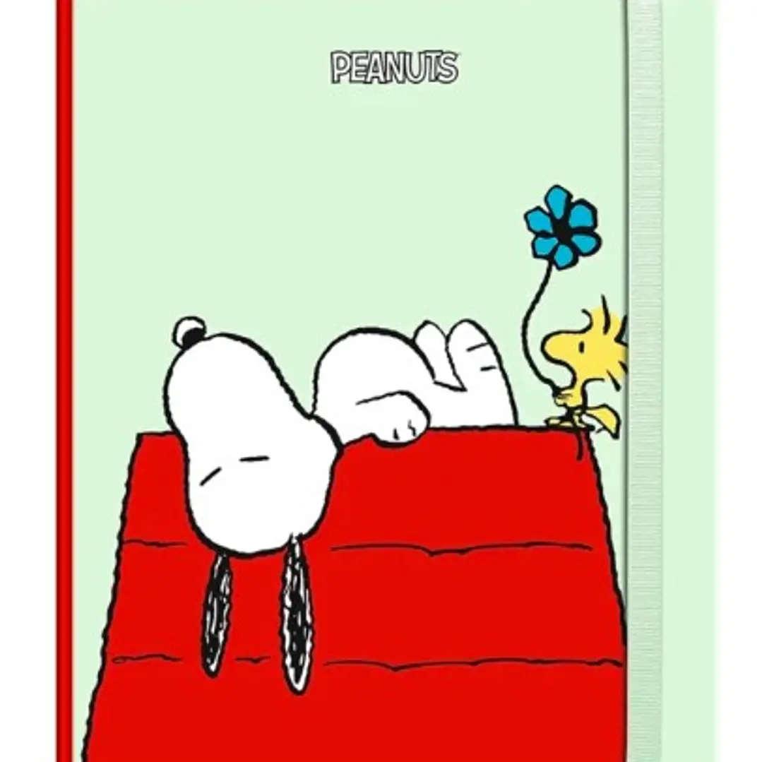 Libreta Tapa Dura Grande (Cuadros) – Snoopy 1
