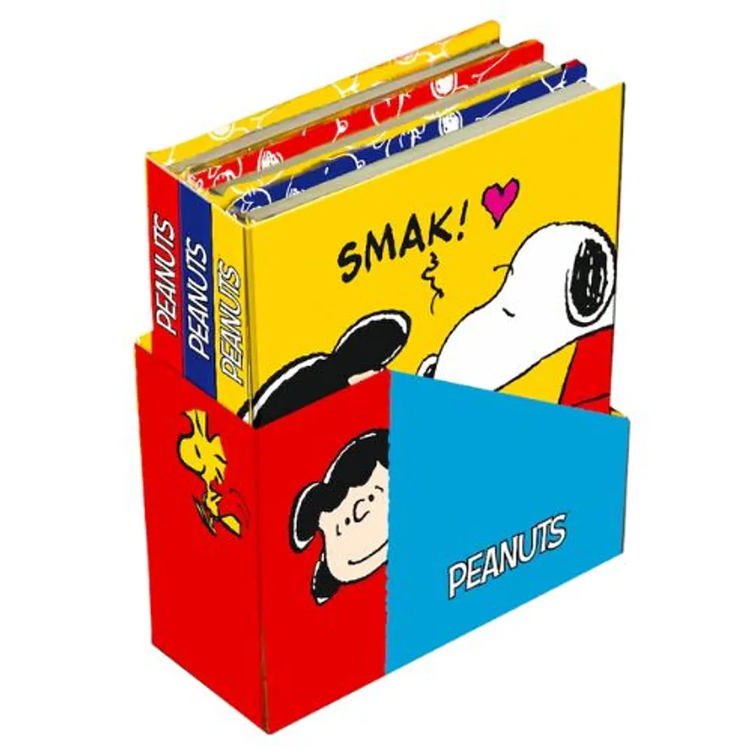Set De Mini Cuadernos Con Caja - Snoppy Colorfull 1