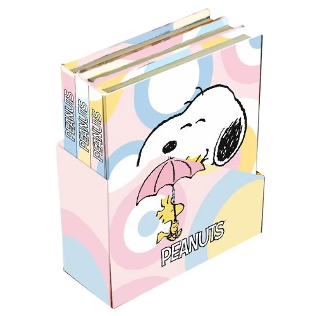 Set De Mini Cuadernos Con Caja - Snoopy Pastel 1