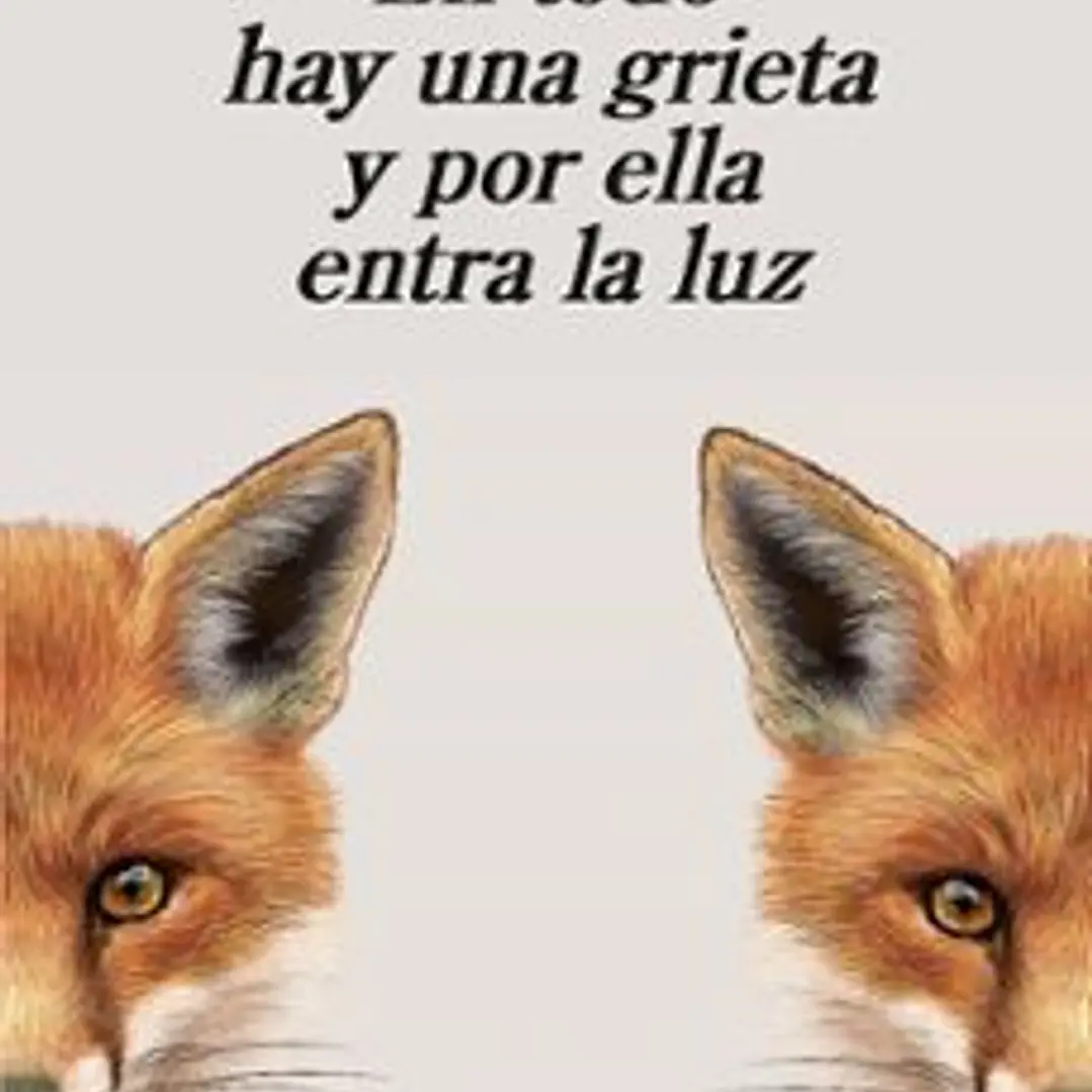 En Todo Hay Una Grieta Y Por Ella Entra La Luz 1
