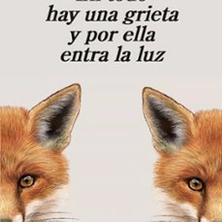 En Todo Hay Una Grieta Y Por Ella Entra La Luz 1