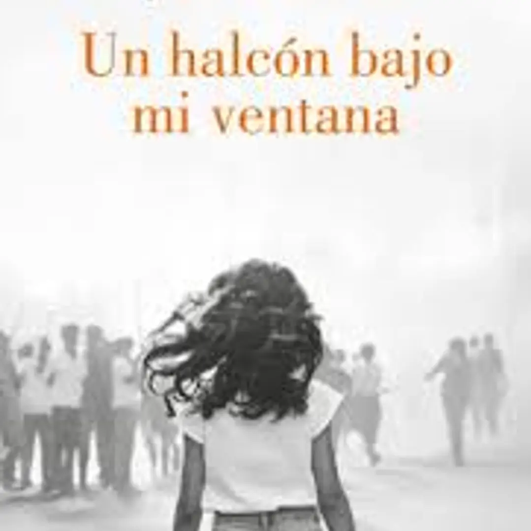 Un Halcon Bajo Mi Ventana 1