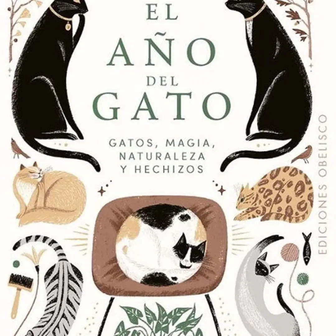 El Año Del Gato 1