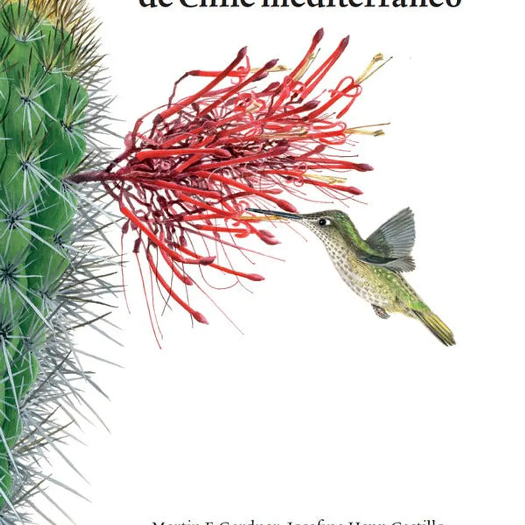 Plantas Endemicas De Chile Mediterraneo 1
