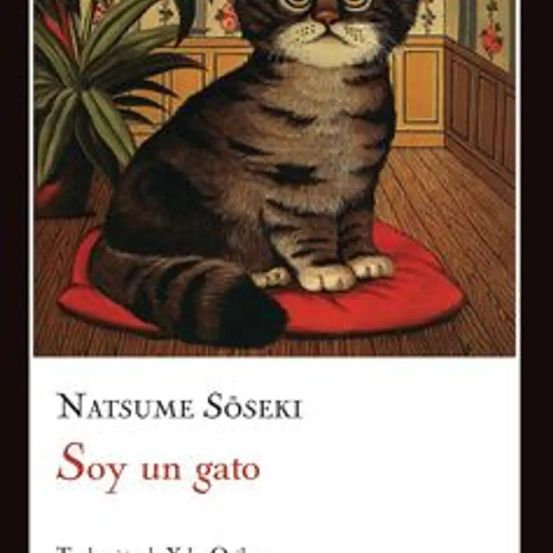 Soy Un Gato 1
