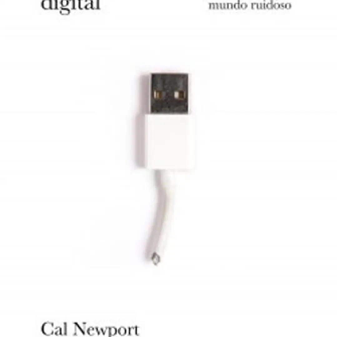 Minimalismo Digital 1