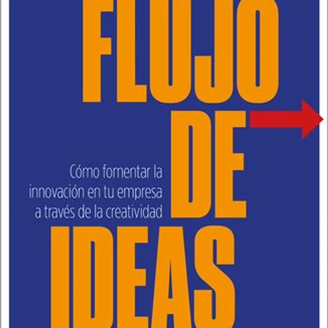 Flujo De Ideas 1