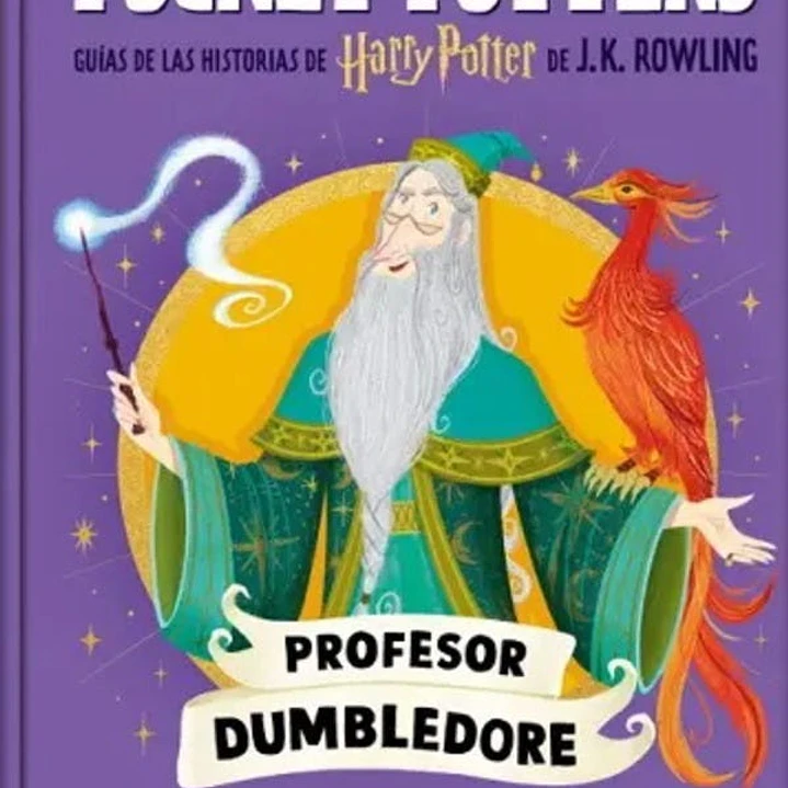 Pocket Potters Dumbledore 1