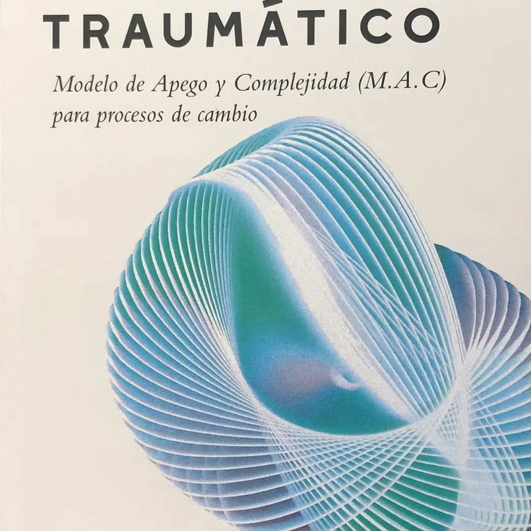 La Organizacion Temporal Del Sufrimiento Traumatico 1