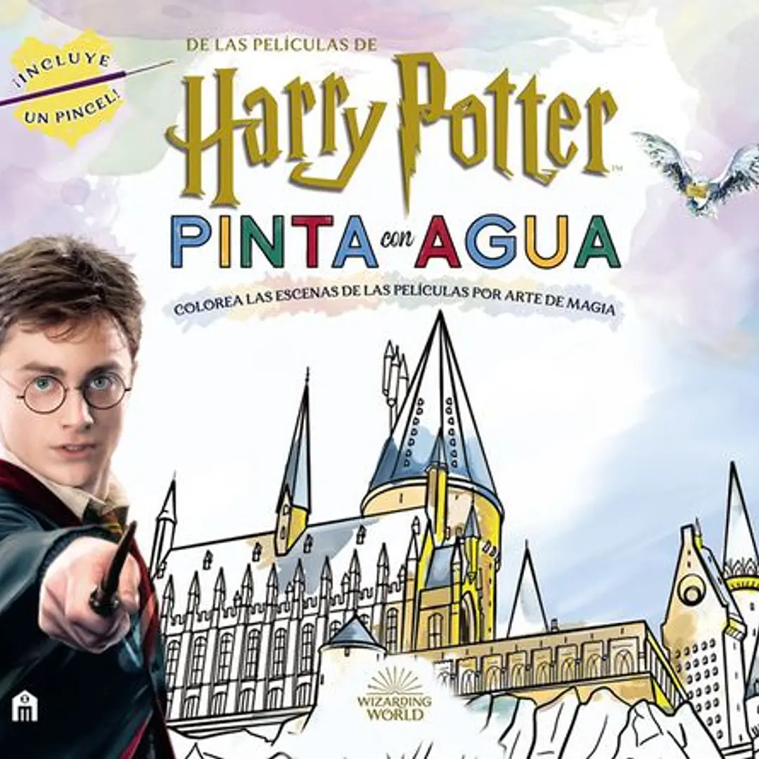 Harry Potter - Pinta Con Agua   1