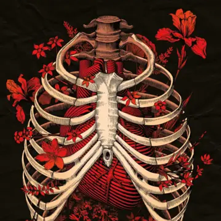Desfibrilador 1