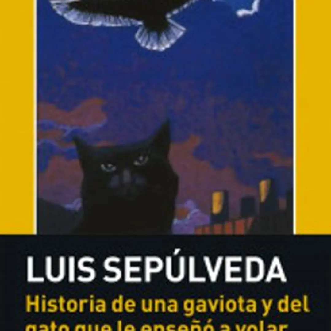 Historia De Una Gaviota Y Del Gato Que Le Enseño A Volar 1