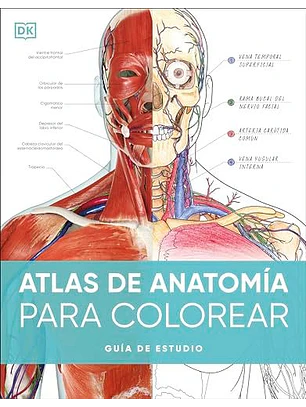 Atlas De Anatomía Para Colorear: Guía De Estudio  	