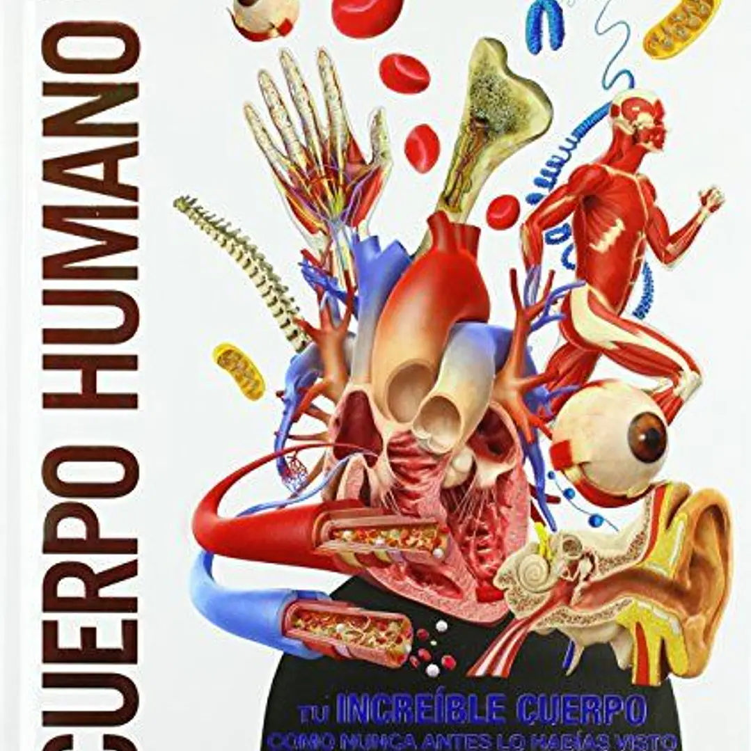 Cuerpo Humano (Mundo 3d): Como Nunca Antes Lo Habías Visto 1