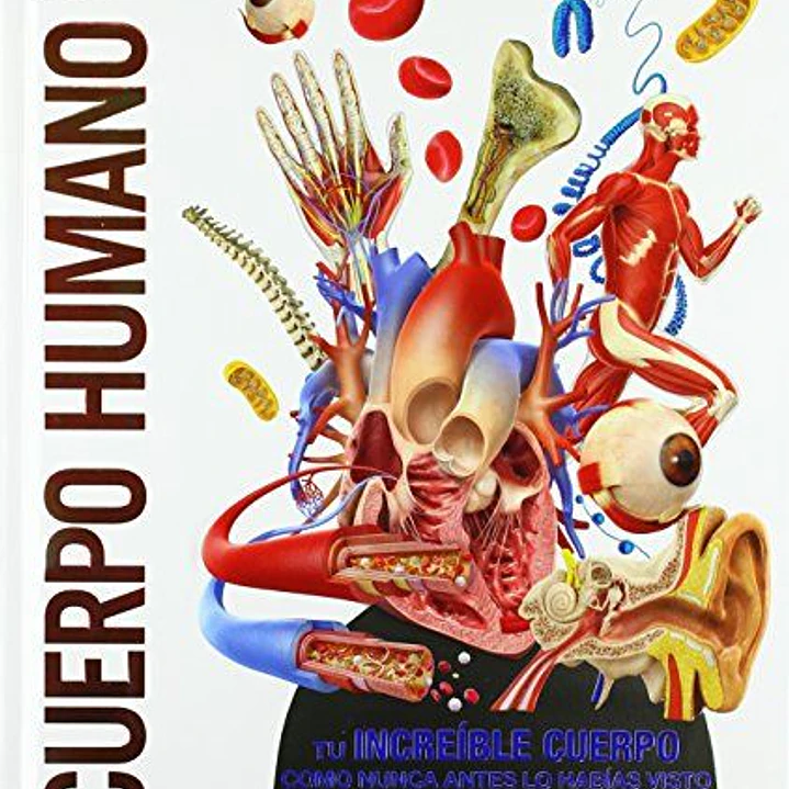 Cuerpo Humano (Mundo 3d): Como Nunca Antes Lo Habías Visto 1
