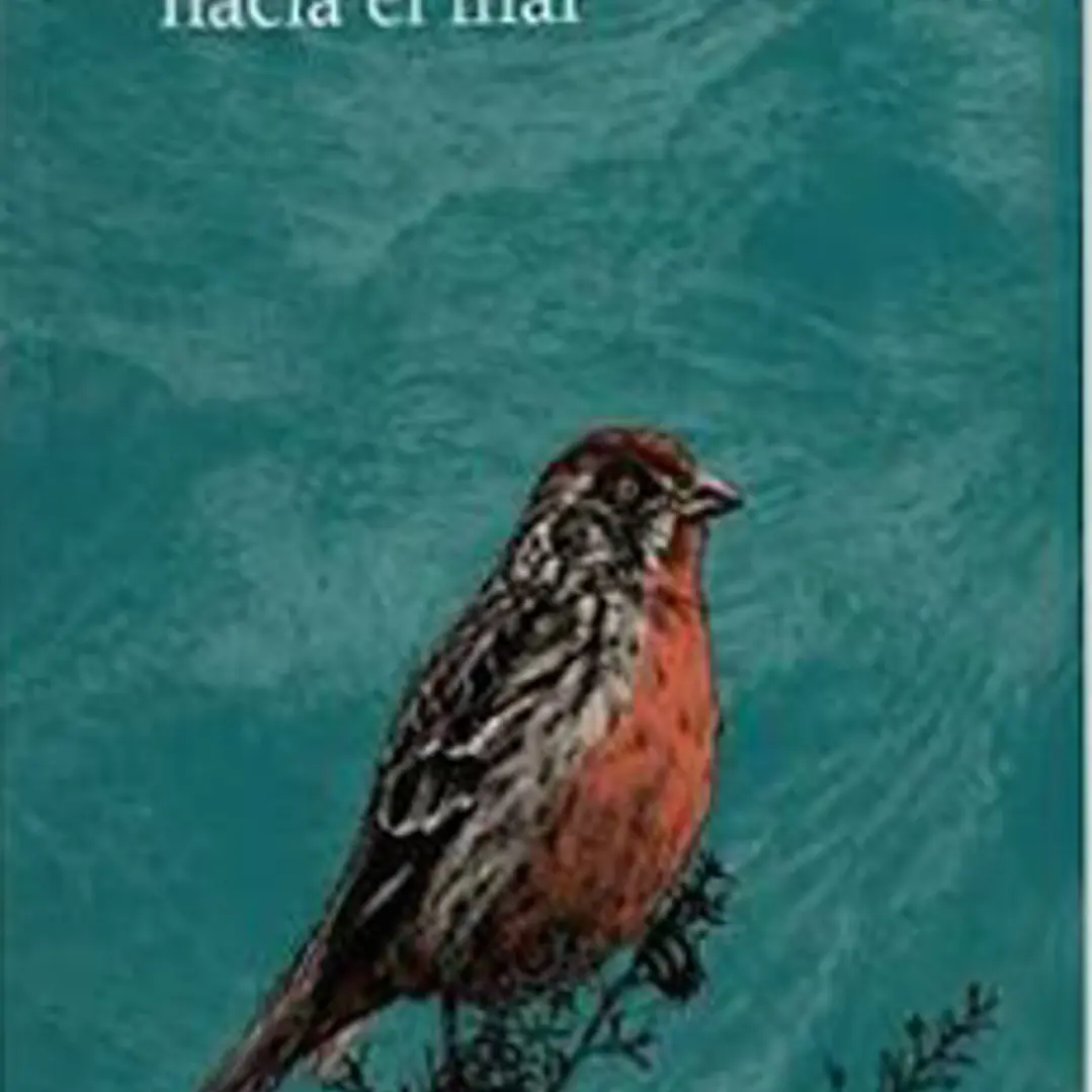 Su Cadaver Avanza Hacia El Mar 1