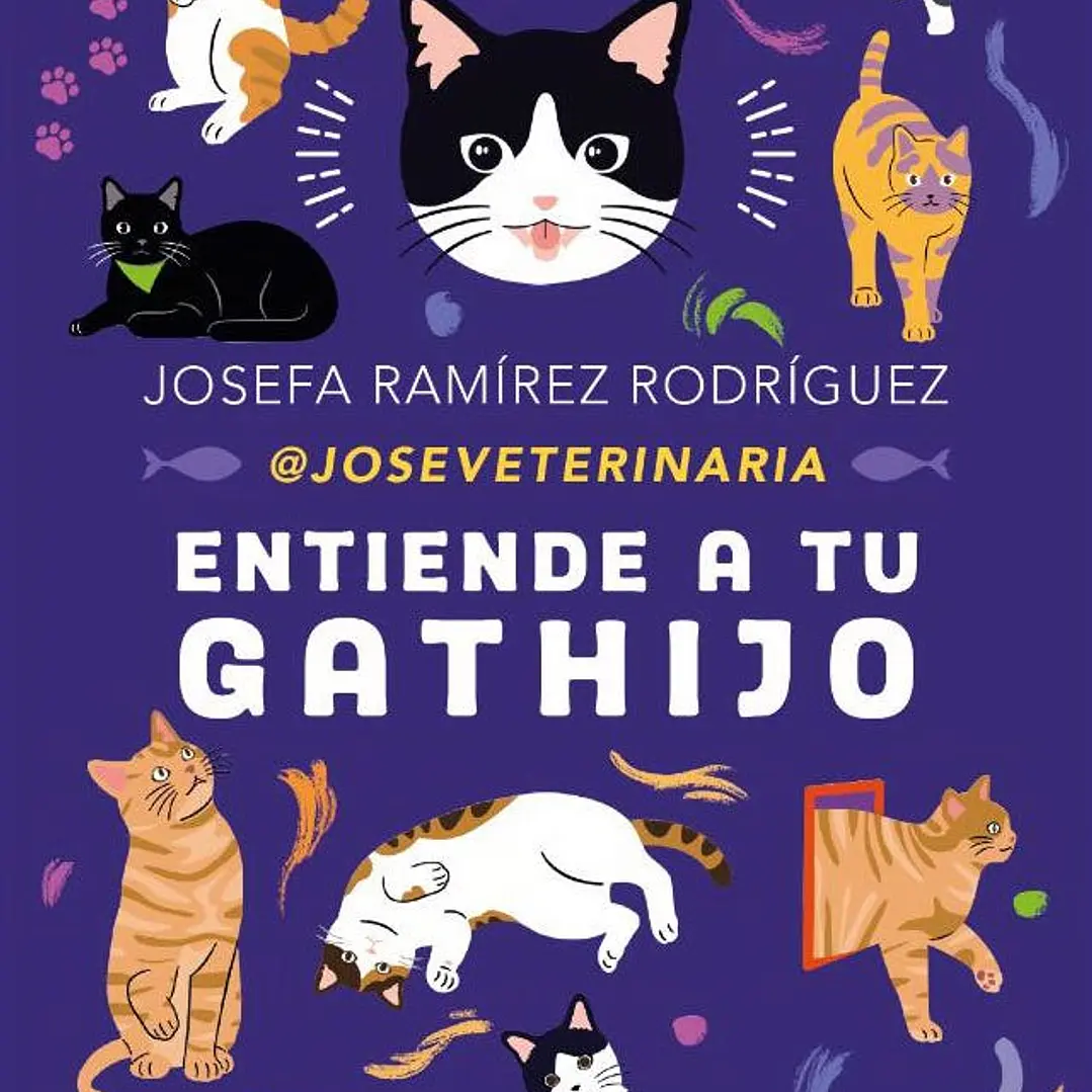 Entiende A Tu Gathijo - Preventa 1