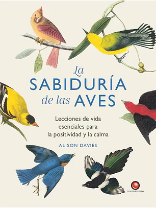 La Sabiduría De Las Aves