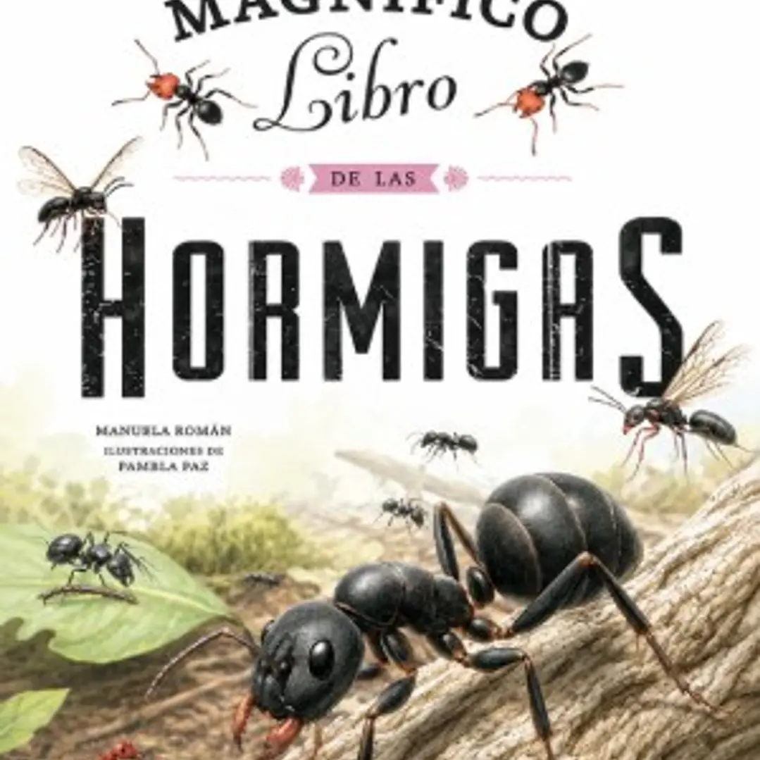 El Magnifico Libro De Las Hormigas 1