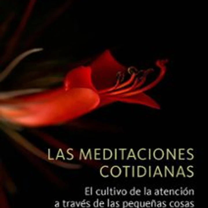 Las Meditaciones Cotidianas 1