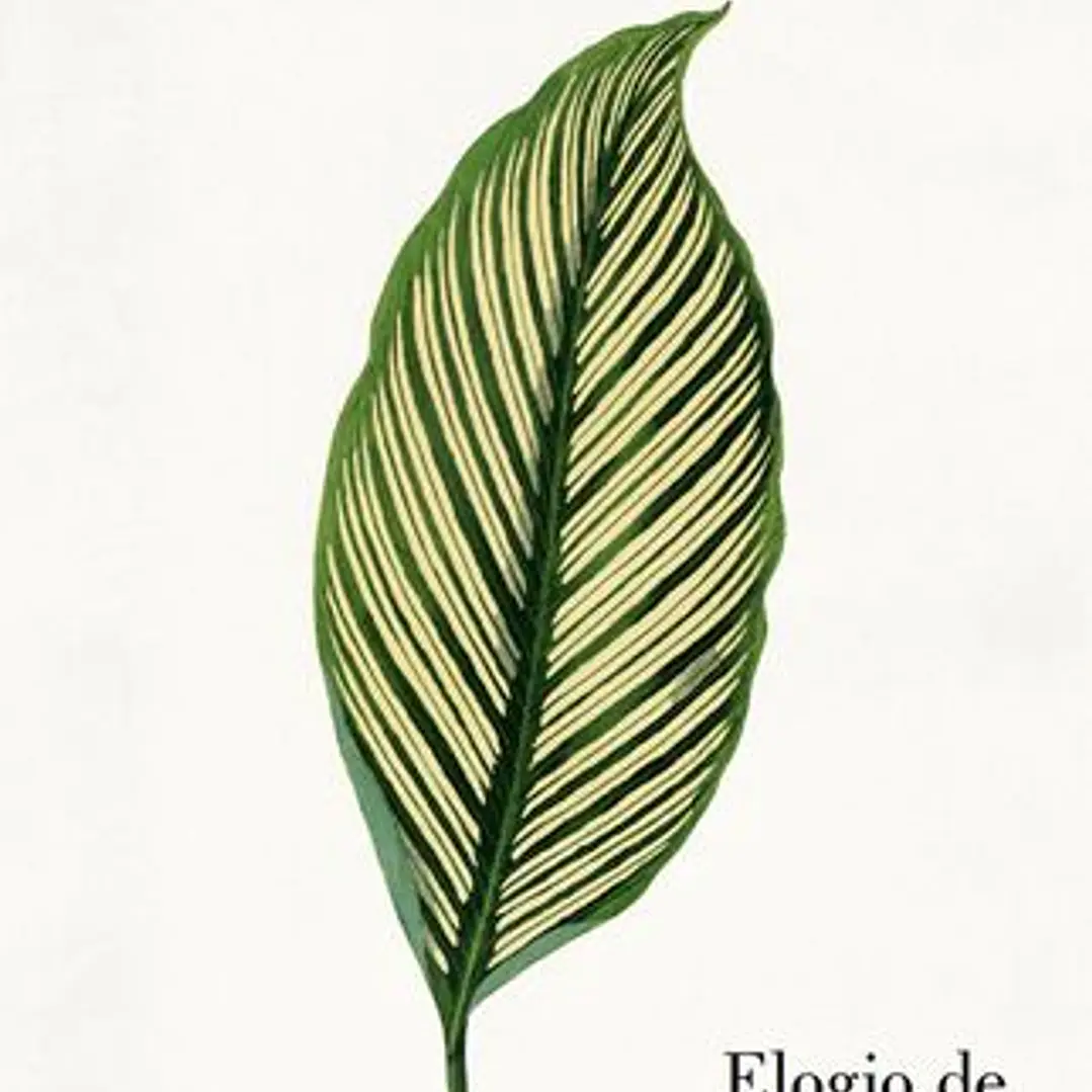 Elogio De La Naturaleza 1