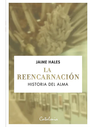 La Reencarnacion Historia Del Alma
