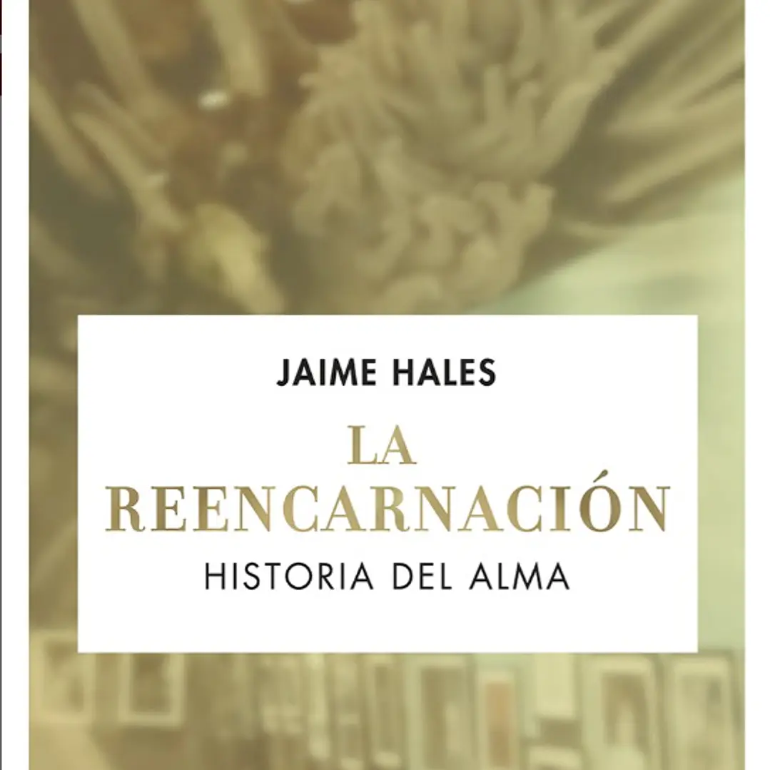 La Reencarnacion Historia Del Alma 1